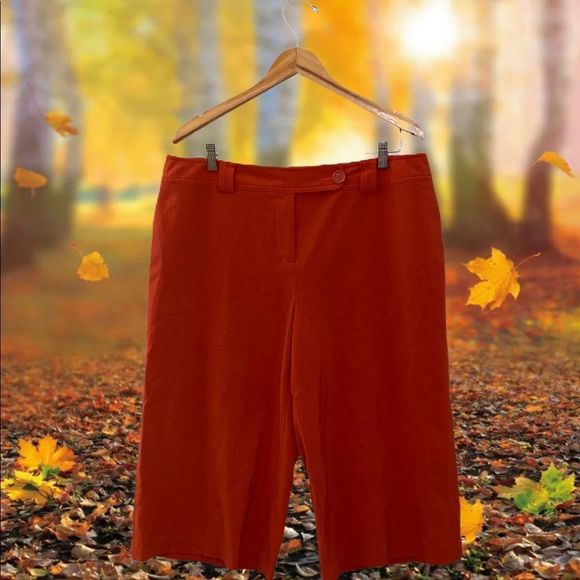 Versailles Sz 14 Rusty Color Shorts - Picture 5 of 5